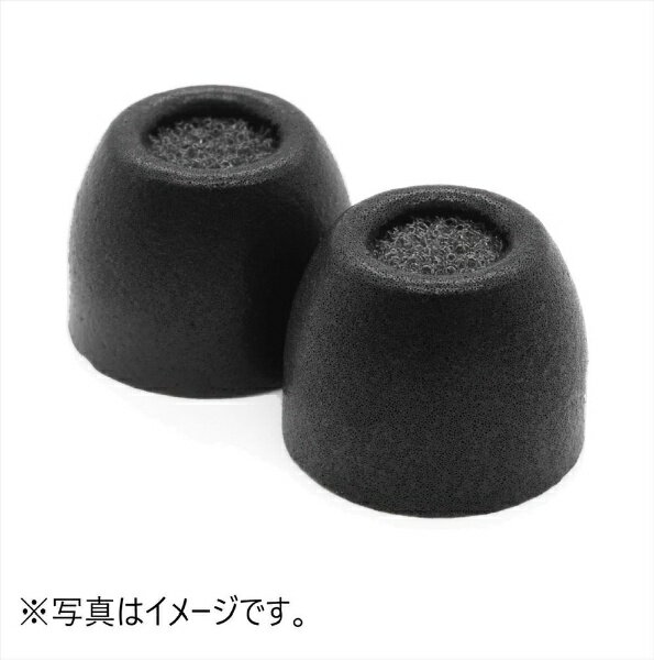 TrueGrip Pro イヤーピース 1