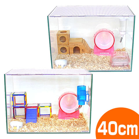 ハムスター用ケージのおすすめ人気ランキング10選 おしゃれなロフトデザインやハイタイプも Mybest