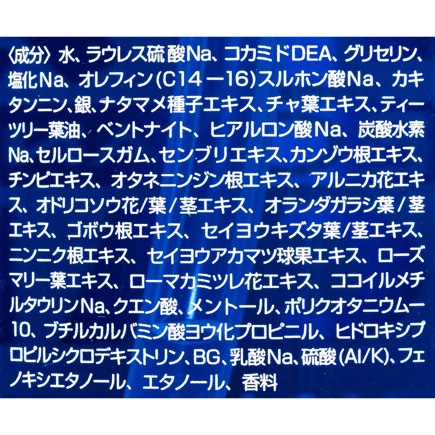 スカルプシャンプー 2