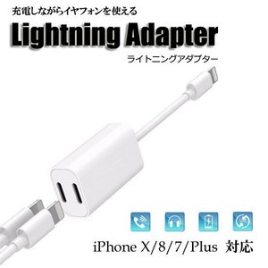 ライトニング 変換アダプター 2