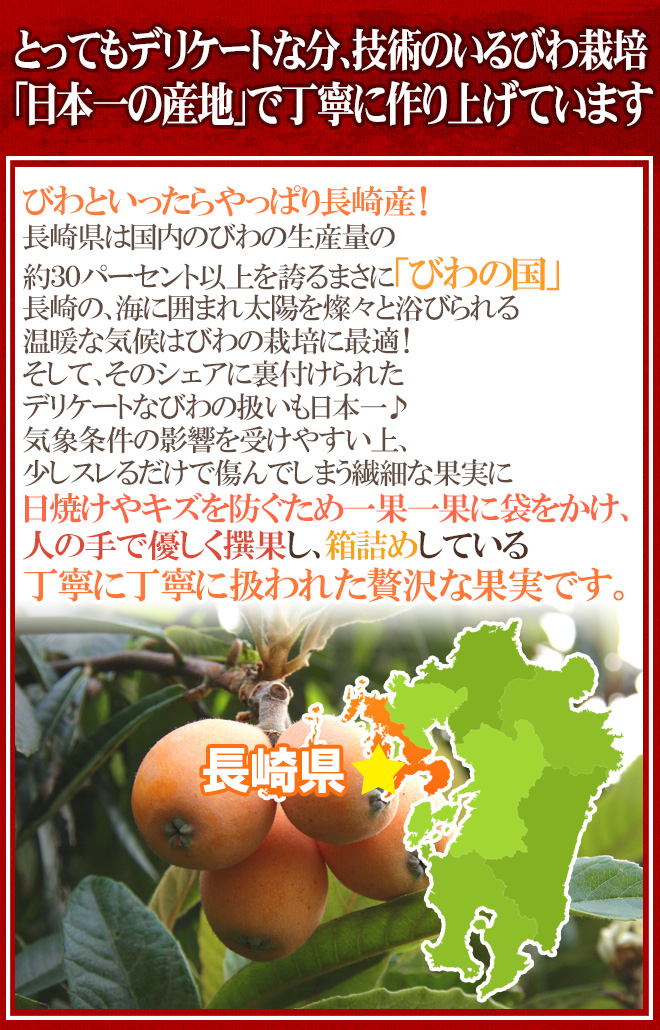 茂木びわ 4