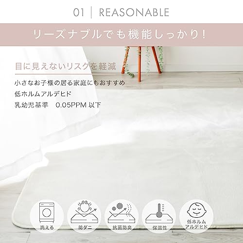 フランネルラグ 3