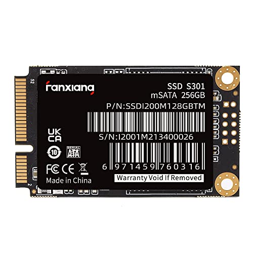 mSATA SSD 1