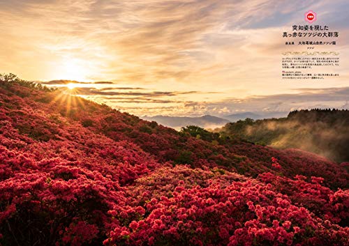 絶景写真集のおすすめ人気ランキング | マイベスト