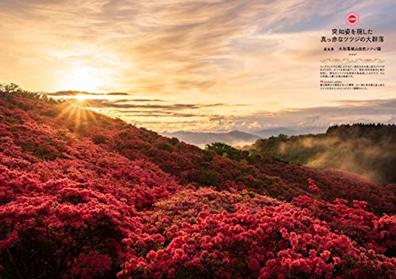 はなまっぷ 世界中に贈りたい 花の絶景100 6