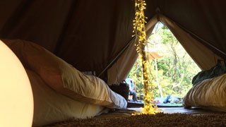Nature Healing Lounge THE OUT 1