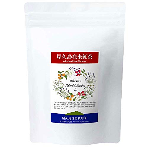 屋久島在来紅茶 1