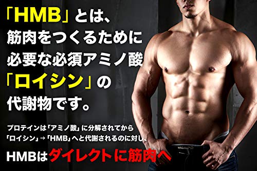 HMB+EAA 2