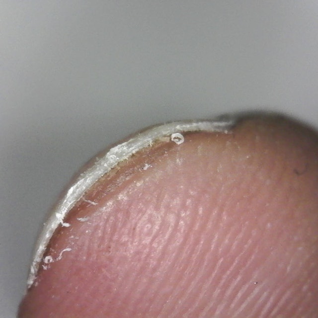 キャンドゥ スタンダードツメ切りを全24商品と比較 口コミや評判を実際に使ってレビューしました Mybest キャンドゥ スタンダードツメ切りを全24商品と比較 口コミや評判を実際に使ってレビューしました Mybest