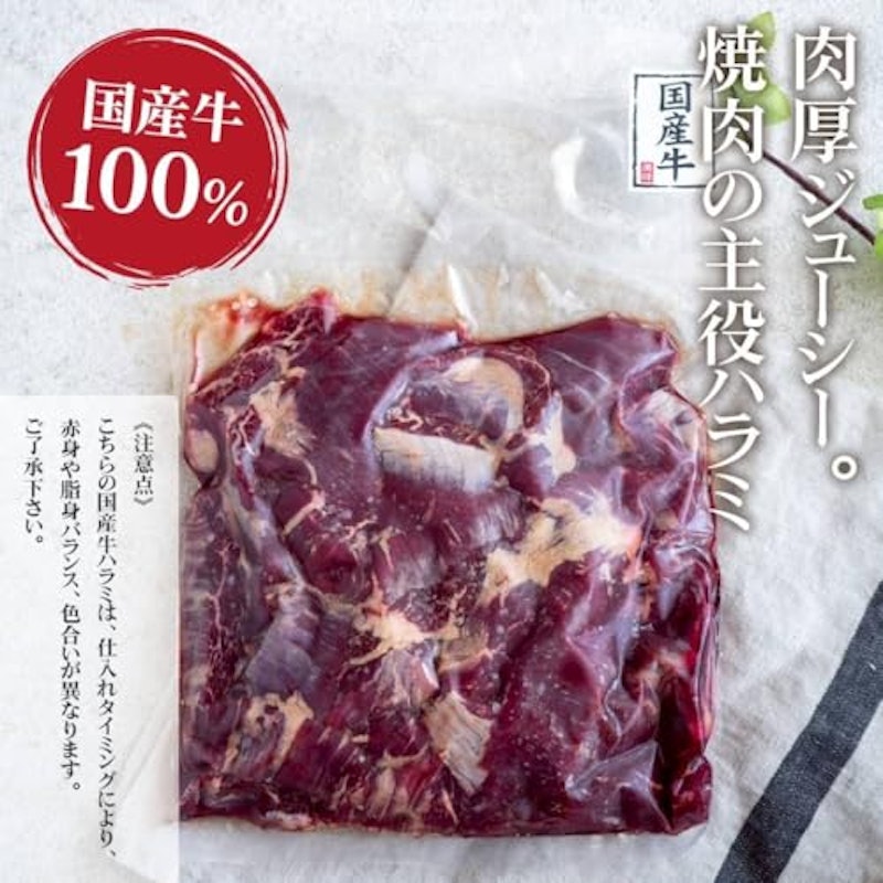 焼肉用 国産牛ハラミ 500g 6