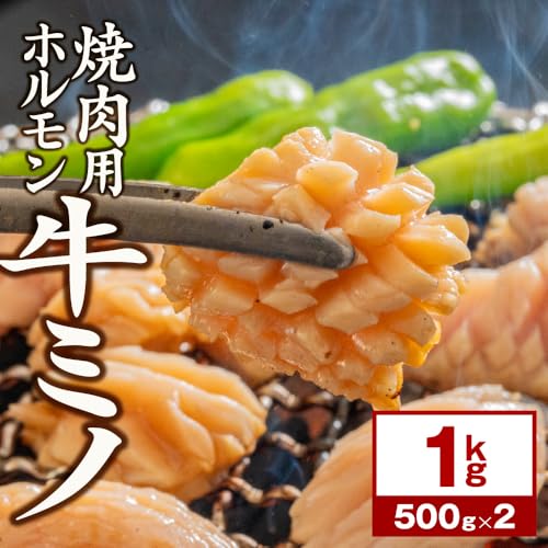牛ミノ 2