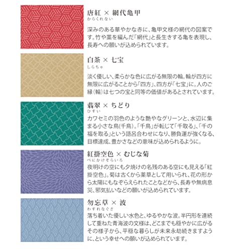 16本骨傘 江戸 6
