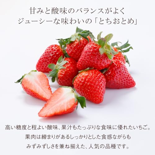 旬の国産人気フルーツのミニお重セット 2