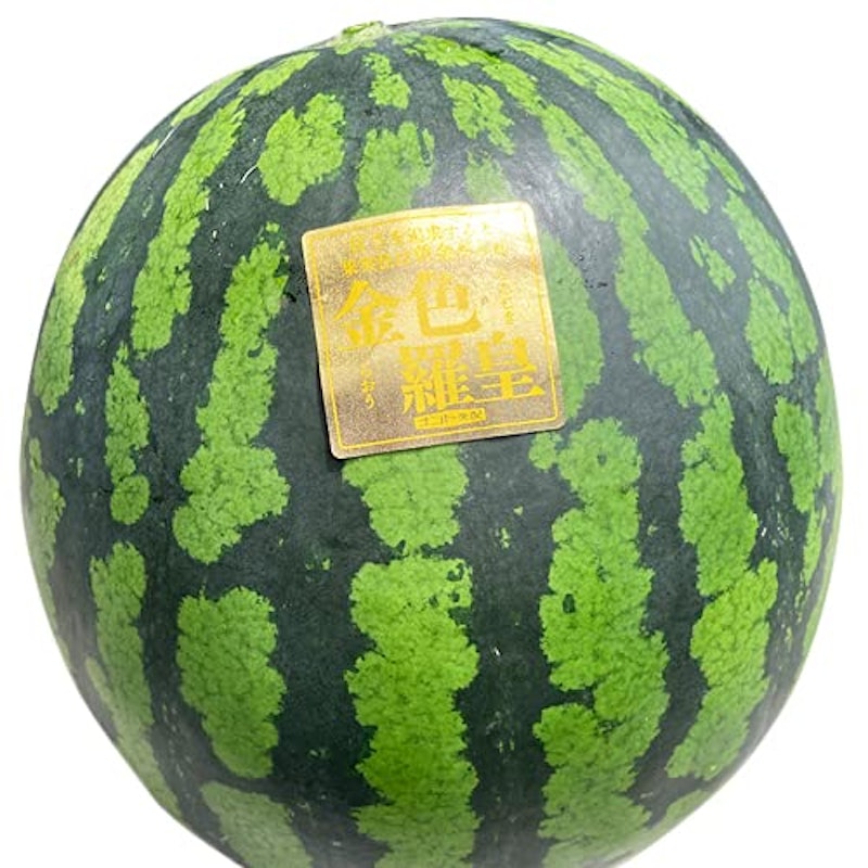 金色羅皇 1