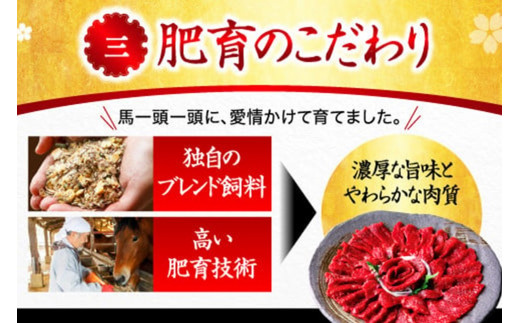 国産 赤身馬刺し大満足セット 6