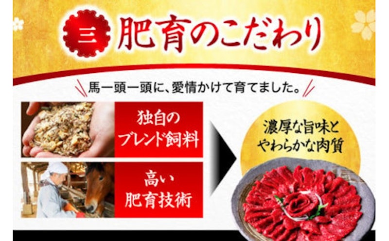国産 赤身馬刺し大満足セット 6