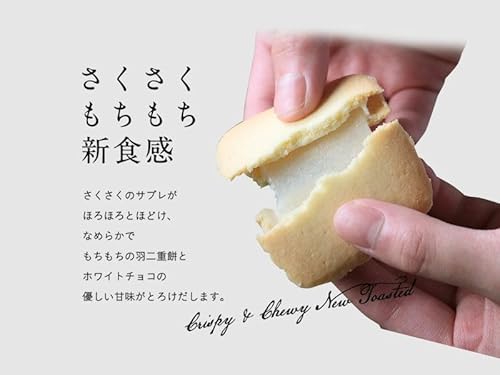 羽二重サブレ 2
