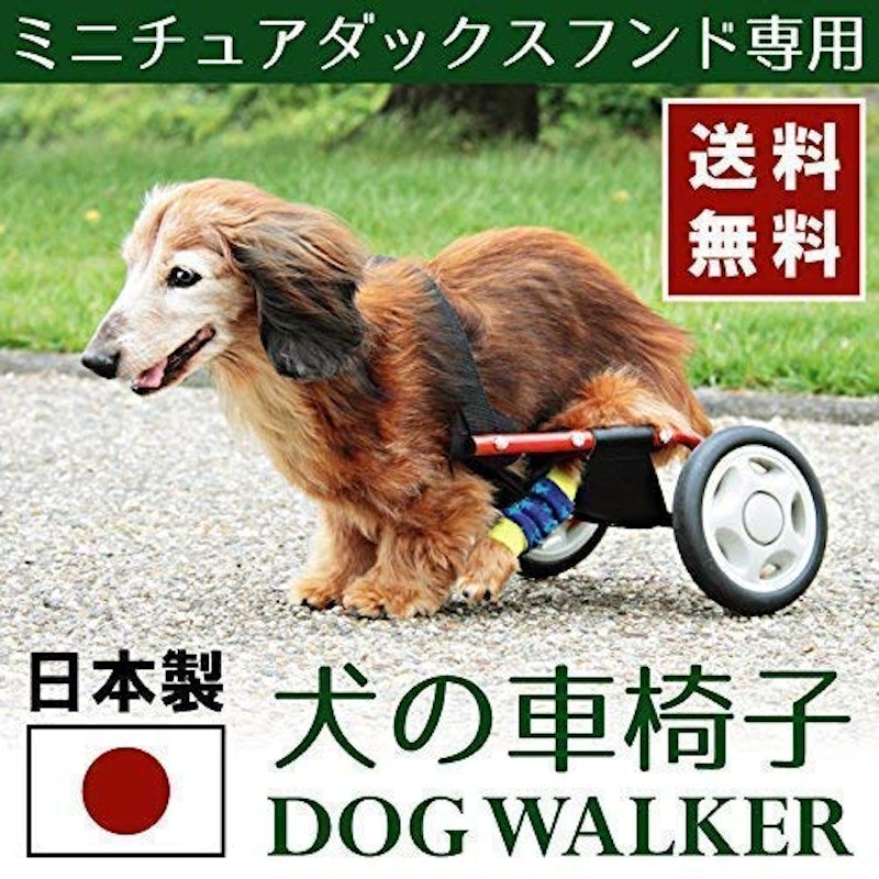 22年 犬用車椅子のおすすめ人気ランキング選 Mybest 22年 犬用車椅子のおすすめ人気ランキング選 Mybest