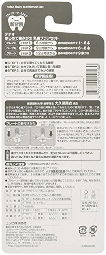 テテオ はじめて歯みがき 乳歯ブラシセット 2