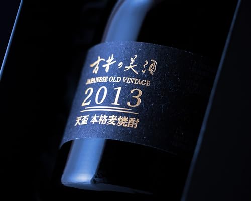 2013 天盃 3