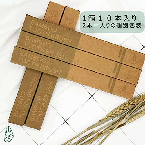 竹 歯ブラシ  2