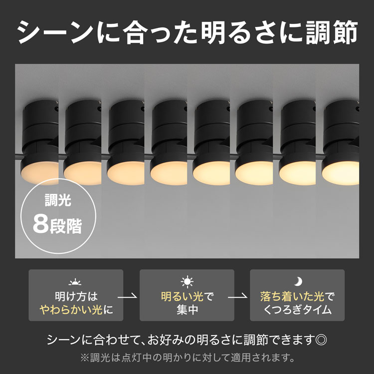 シーリングファンライト 6