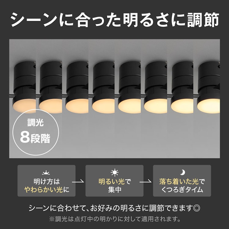 シーリングファンライト 6