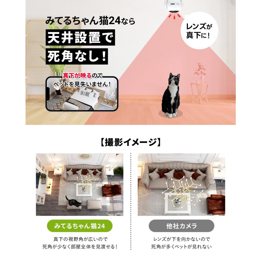 みてるちゃん5Plus 2