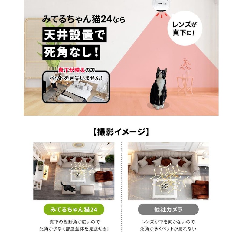 みてるちゃん5Plus 2