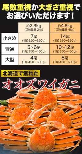 北海道産オオズワイガニ姿 3