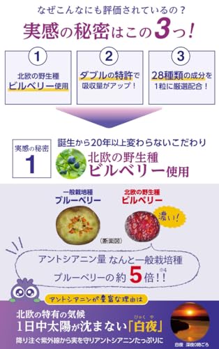 ブルーベリーアイ 5