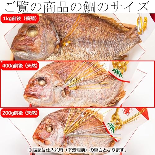 お食い初め料理セット めばえ膳  2