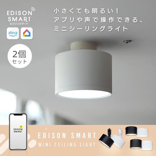 シーリングライト 調光 リモコン付き 2つセット IKEA・luminous