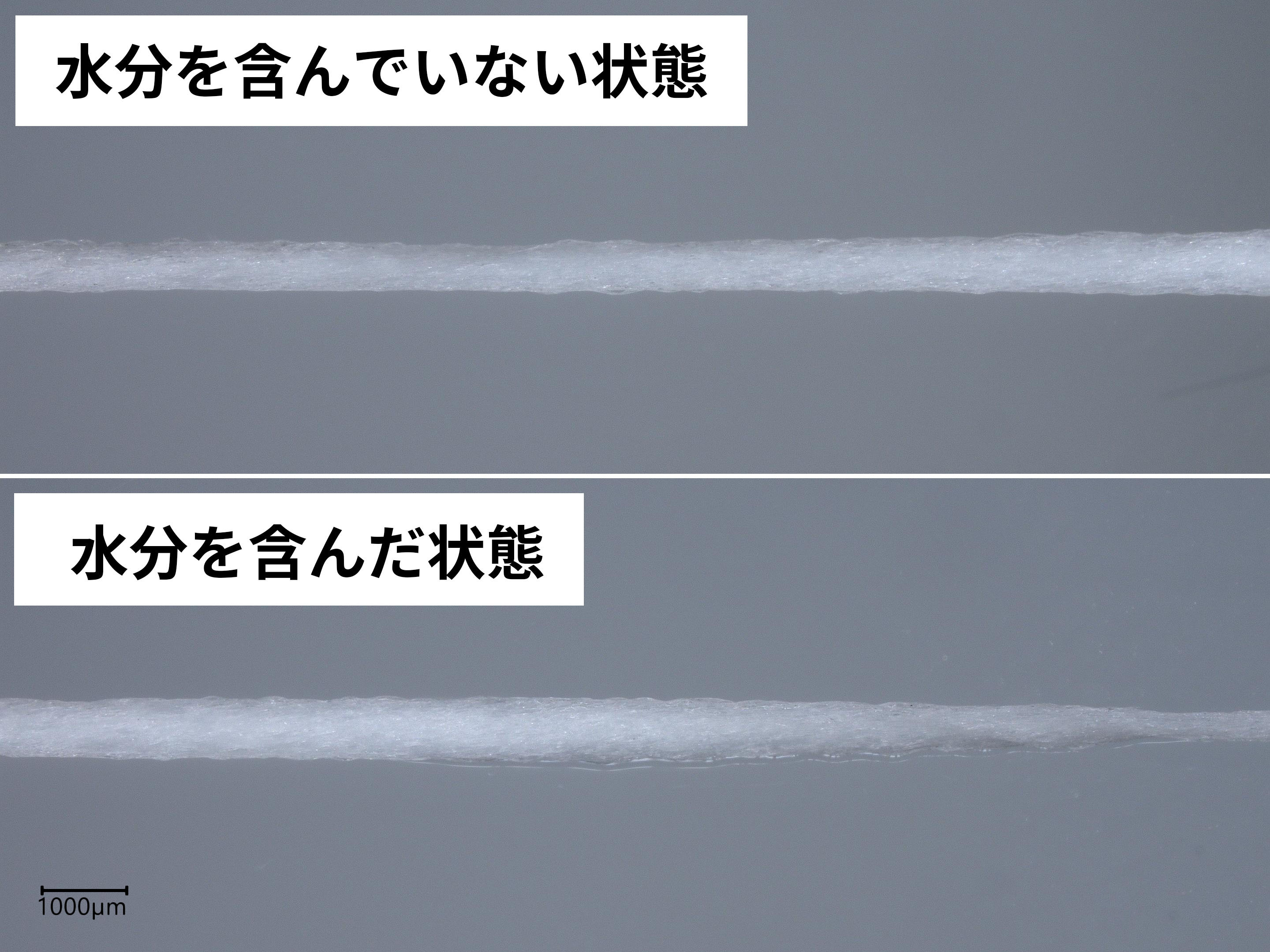 デンタルフロス エキスパンディング ワックス 3