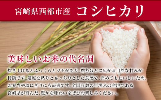 コシヒカリ無洗米 定期便 3