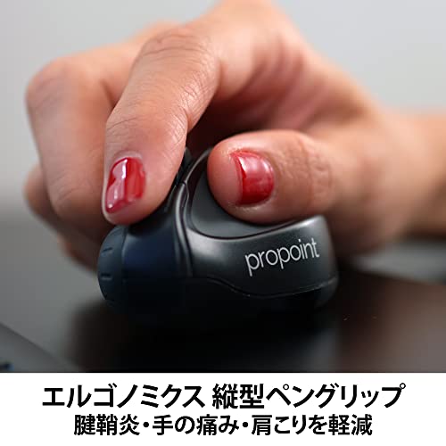 ProPoint 2