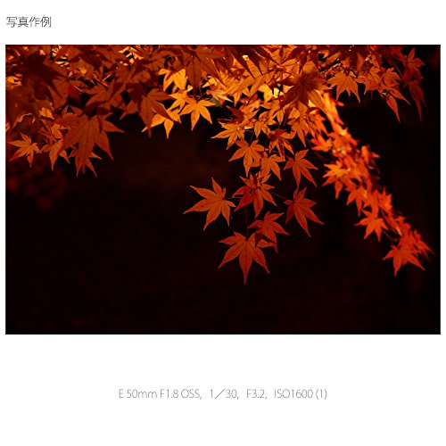 E 50mm F1.8 OSS 2