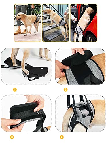 犬用介護ハーネス 2