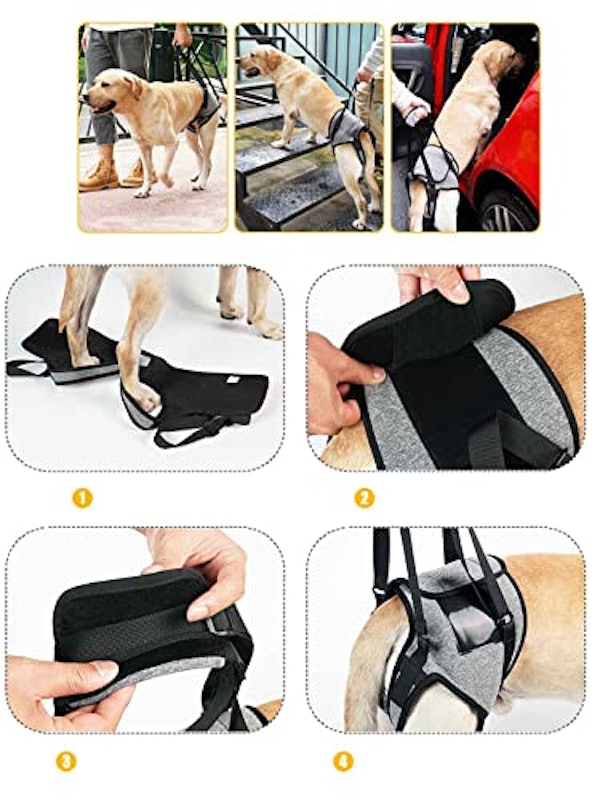 犬用介護ハーネス 2