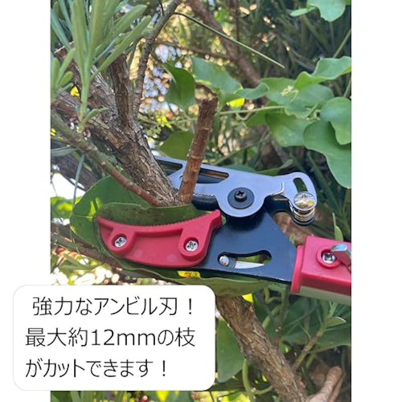 高枝切り鋏 4