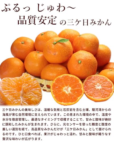 静岡県産 三ヶ日みかん 2