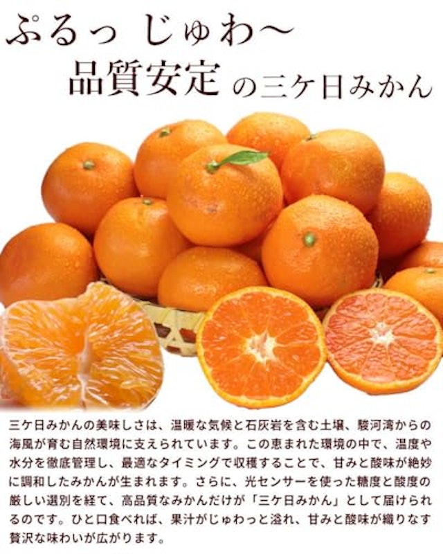 静岡県産 三ヶ日みかん 2