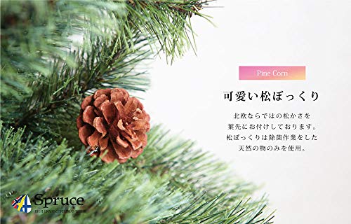 Spruce ヨーロッパトウヒツリー 4