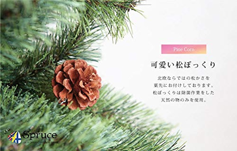 Spruce ヨーロッパトウヒツリー 4