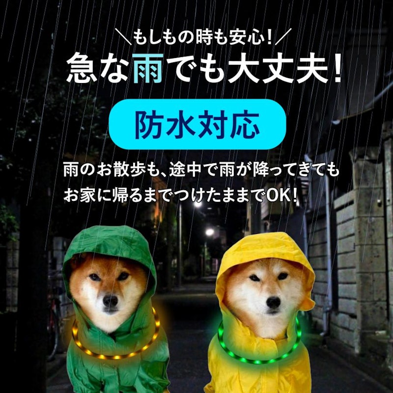光る首輪 13