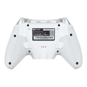 Shenzhen Warsong Technology BIGBIG WON Rainbow 3 BBW-CH3を検証レビュー!PC用ゲームパッド・コントローラーの選び方も紹介 2