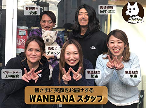 馬肉生地ミニお誕生日ホールケーキ 7