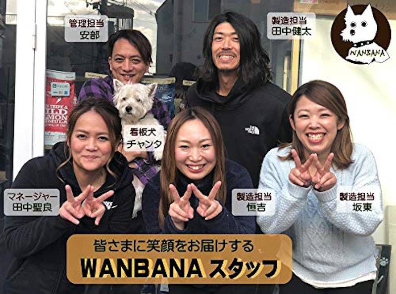 馬肉生地ミニお誕生日ホールケーキ 7