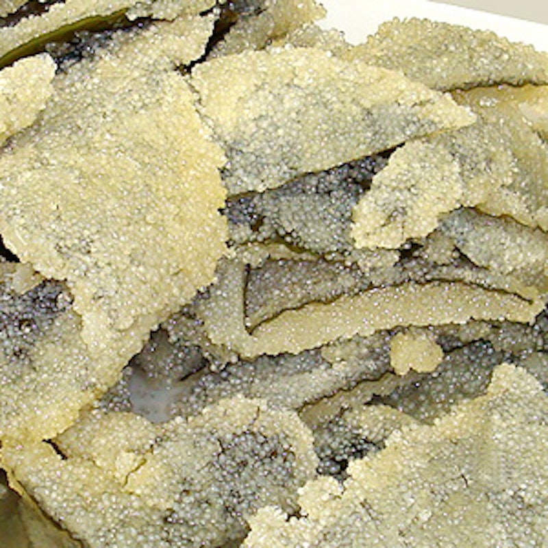 不揃子持ち昆布 切り落とし 1