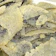 吉川水産 不揃子持ち昆布 切り落とし 1